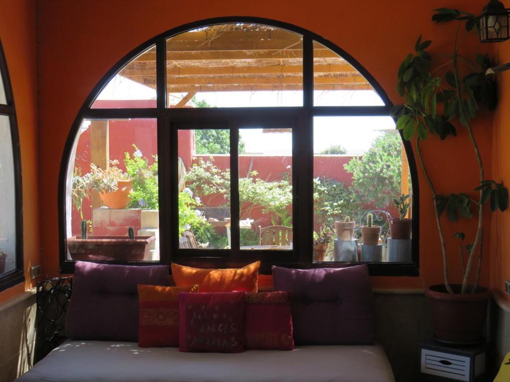Higos Chumbos, Casa Rural Compartido Chiclana de la Frontera Exteriör bild